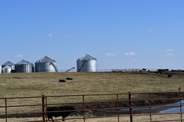 Fototapeta na wymiar Grain Bins in a Farm Field