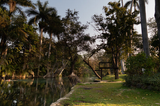 Río entre palmeras con pasto y trampolin de madera