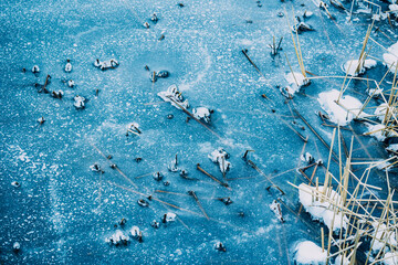 Frozen lake with holes and trees in the water surface.