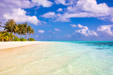 Idyllic Beach with Palm Treesat the Maldives, Indian Ocean