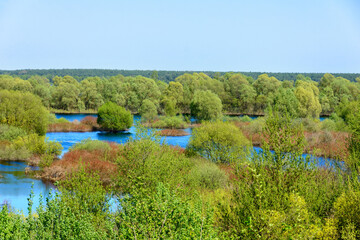 Fototapeta na wymiar Nature of Belarus. Spring flood of the river. Trees and bushes stand in the water. Flood. Early spring