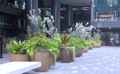 Large rounded planter pots with plants in the courtyard of a modern office building in the city....
