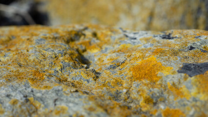 Stones