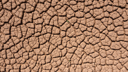 Dry and hot summers, cracked soil, ground on field with some small, green plants. texture of earth during drought. View from the top.