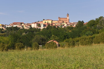 Satte grüne Wiese mit Altstadt von Castelnuovo Calcea am Horizont