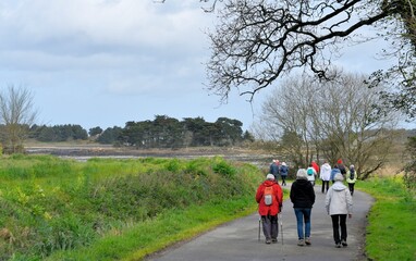 Obraz premium Group of senior hikers in Brittany-France