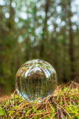 Glass ball on a moss in a forest. Trees reflection. Selective focus. Nobody. Abstract nature background