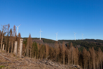 Windkraftanlagen im Wald