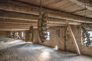 Lostplace Haus des Doggenzüchters