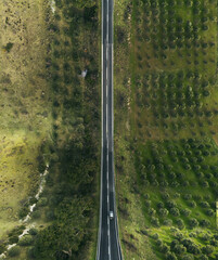 Aerial view of an up curving road