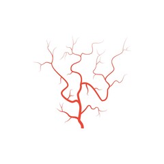 Fototapeta na wymiar Human red eye veins, anatomy blood vessel arteries illustration. Vector medical eyeball vein arteries system map. Veins in flat style isolated on white background