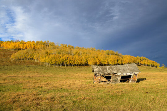 Canadian Prairie Landscape Cowboy Trail Alberta Autumn