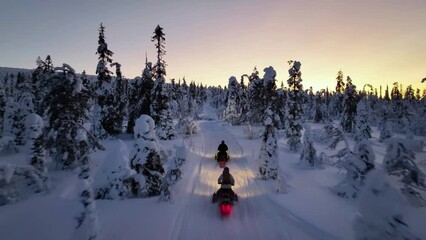 Aerial drone view following snowmobiles driving between snowy trees, dusk in Lapland - Powered by Adobe