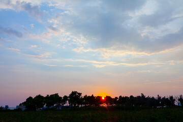 Twilight over the treetops . Sunset over the trees