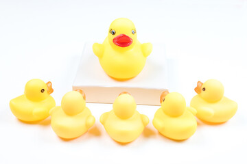 アヒルのおもちゃ