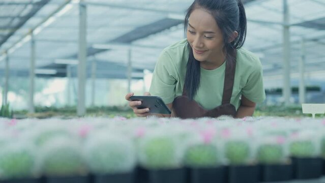 Business concept of 4k Resolution. Asian woman taking pictures of cactus in the garden. Selling products online with a mobile phone.