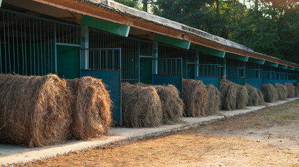 large round bales of hay sitting outside of horse stalls of blue barn in rural area covered stalls cement platform and dirt area on hobby agricultural farm in countryside of rural Cuba horizontal 