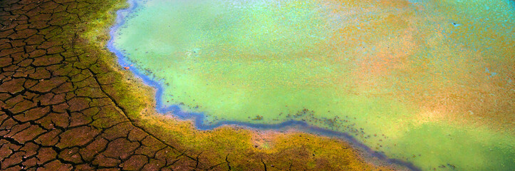 Polluted water and cracked land during summer drought	
