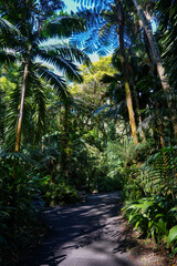 Hawai‘i Tropical Bioreserve & Garden in Onomea Bay, Big Island of Hawaii, United States