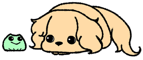 伏せをしてカエルをみつめるダックスフンド