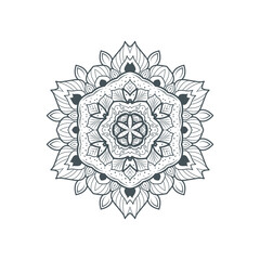 beautiful line art mandala vector