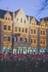 Obraz premium Tulips on the Bund of Shanghai are fantastic at night