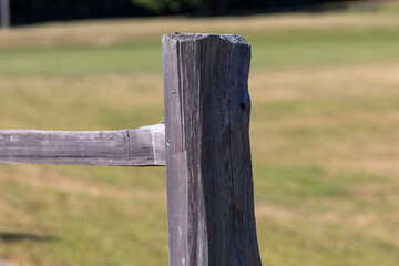 Fototapeta premium country wooden fence post along green field