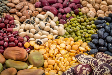legume abstract - top view of a variety of colorful bean, lentil and pea