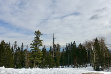 New Mexico from Sandia Peak