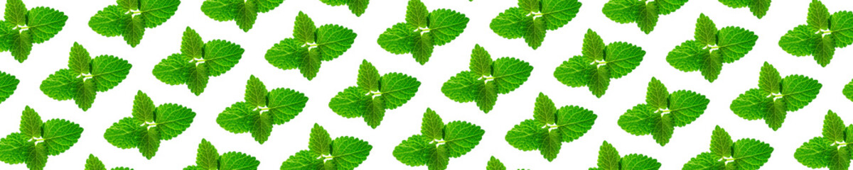 Naklejka na ściany i meble Background of fresh mint leaves on white backdrop for packaging design. peppermint abstract Banner background.