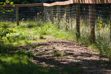 Obraz premium wooden fencing along field path in summer