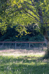 wire mesh fence running along the edge of a park