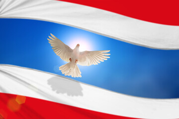White Dove and Thailand flag Flying on blue sky to independence , freedom ,Pray fot Thailand concept