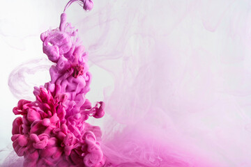 Pink colorful ink drop in water, Ink swirling in. abstraction image for background or color referent.