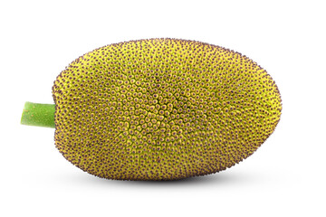 Jackfruit isolated on a white background