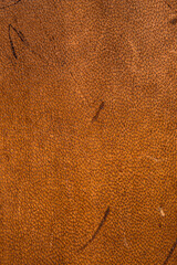 Roughly processed dense strong camel leather with furrows and scars, close, close-up
