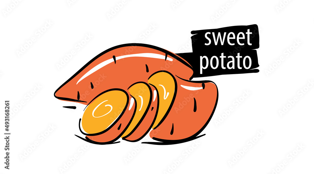 Wall mural drawn sweet potato isolated on a white background