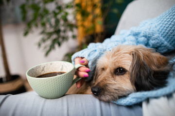 A dog and a girl, during their morning coffee drinking ritual.