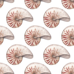 Watercolor seamless pattern with vintage nautilus shells isolated on white background. Marine collection.
