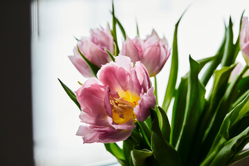 Peony-shaped tulips photo in a bouquet. Macro photo of flowers. Spring and holiday concept, gifts for March 8 international women's day. Front view.