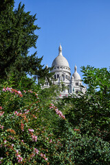 Beautiful view of the Montmartre temple with green trees and pink flowers on a sunny summer day. Paris, France
