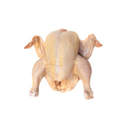 Broiler chicken carcass on a white background.