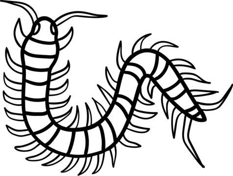 millipede coloring pages