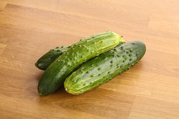 Fersh juicy green cucumbers heap