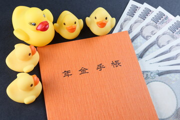 年金手帳とお金