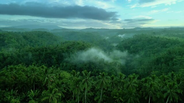 Rain Forest and Farm in Indonesia, Aerial Shot