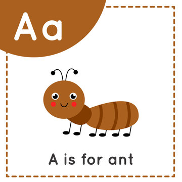 Learning English alphabet for kids. Letter A. Cute cartoon ant.
