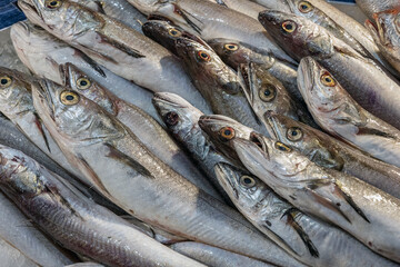 Fresh fish for sale at a market in Lisbon, Portugal
