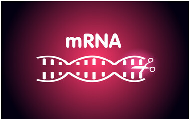 mRNA scissors crispr cas illustration