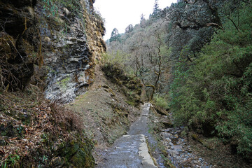 Natural landscape of rocky trail steps and trekking pathway among green forest jungle park